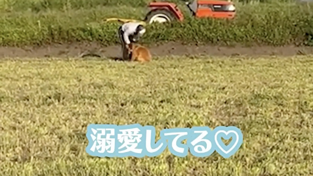 ワンコを飼うの反対してたお父さんが…