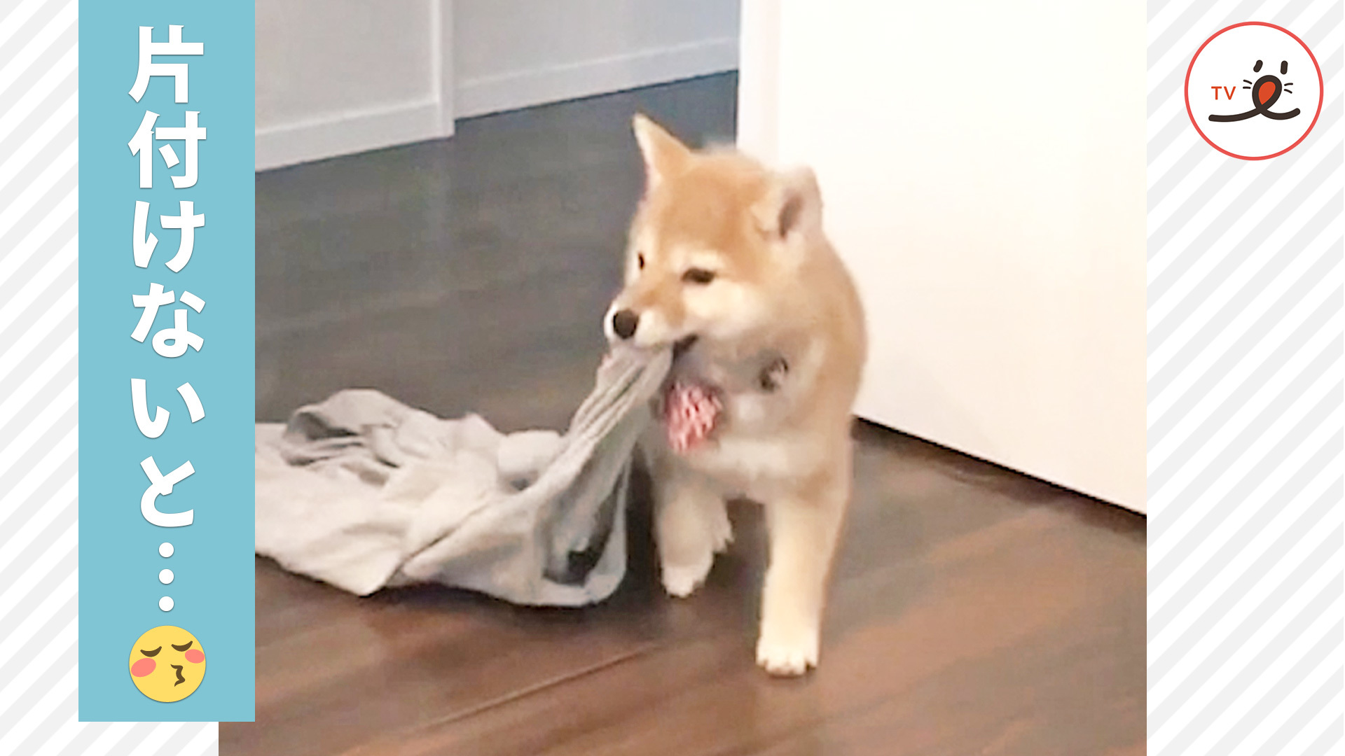 パパとママのパジャマ、回収しま～す！