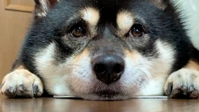 ふっふっふっ…(笑)