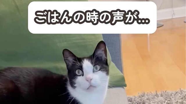 ”ごはん”って言ったら…