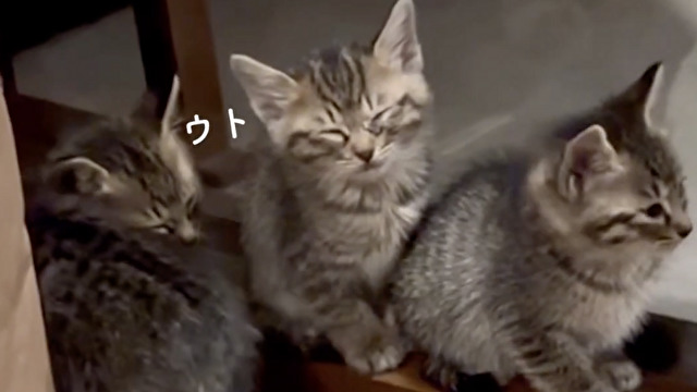 寝落ちまで３秒