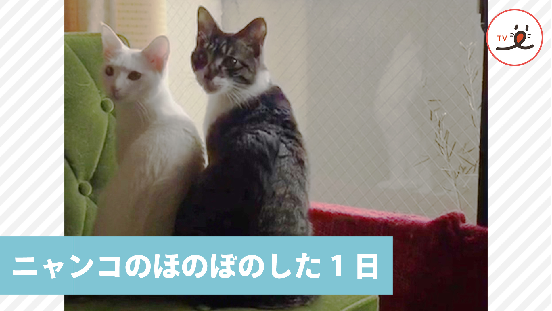 なんでもない1日が幸せ♡