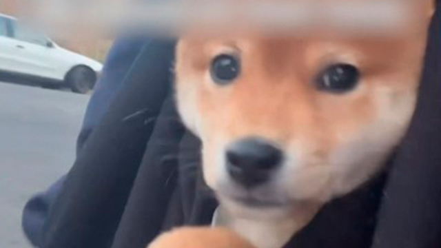 初めてのお外は…