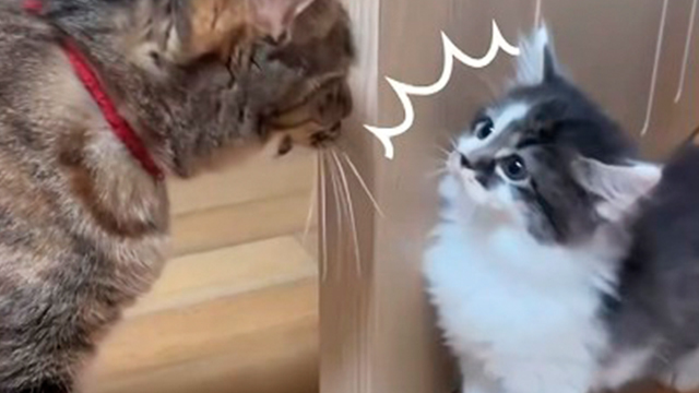 目の前で見るとやっぱこわい