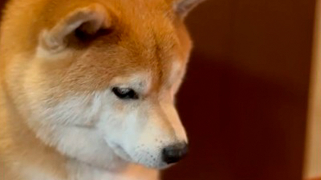 おやつはどっち！？