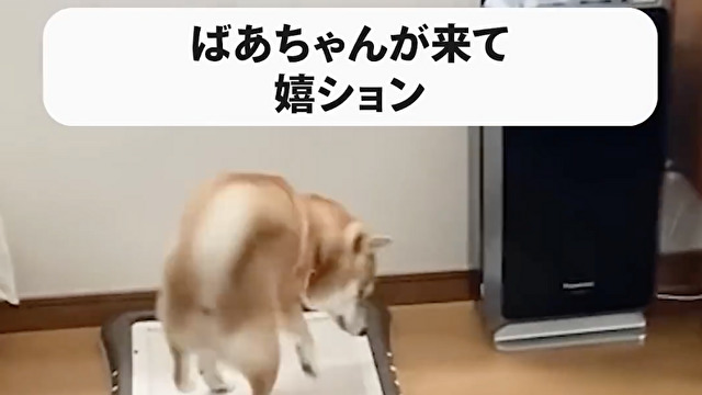嬉ションしても育ちの良さが出る
