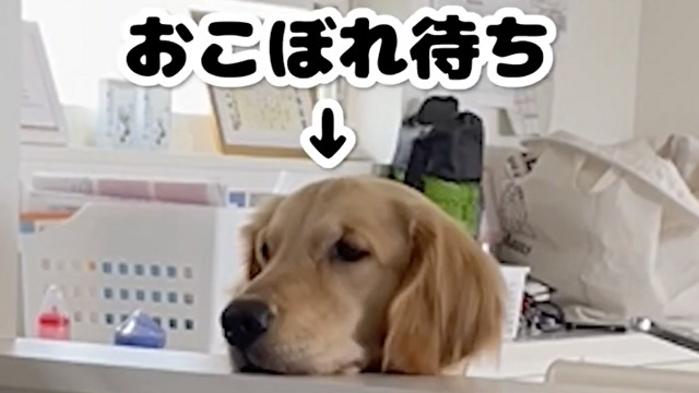 おこぼれ監視官はスキがない