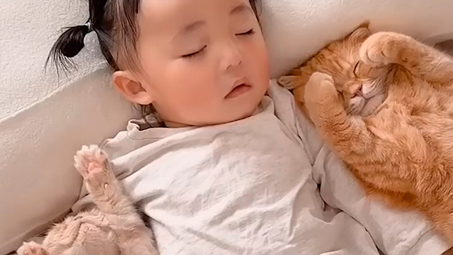 にゃんにゃんに挟まれて…♡
