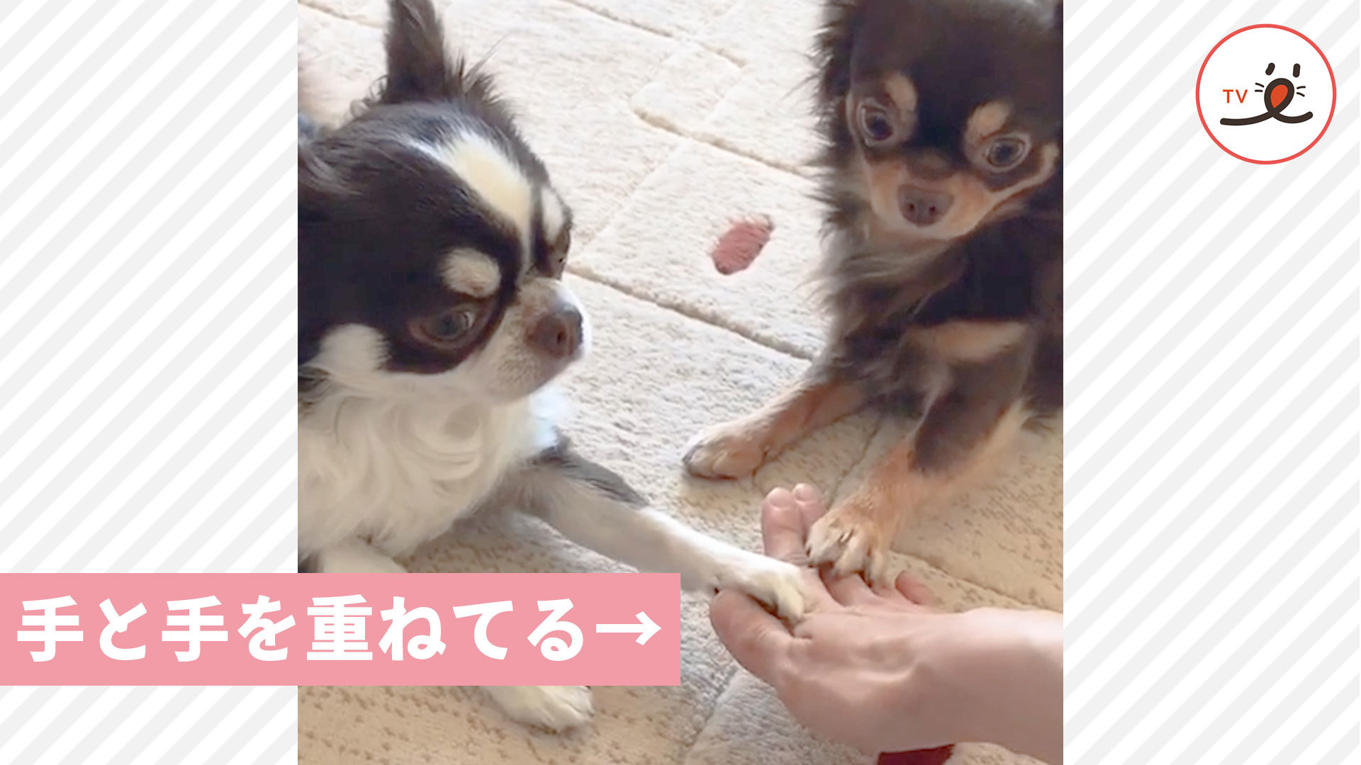 上手に “一致団結” できるかな？