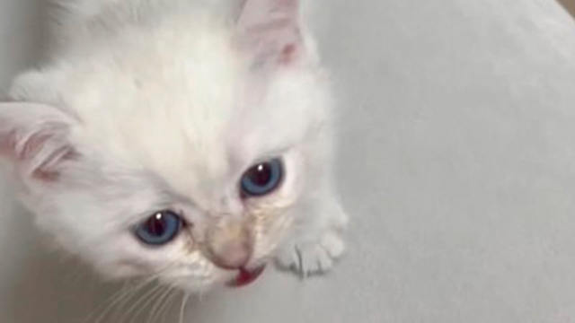 隣に座ってくれる幸せ♡