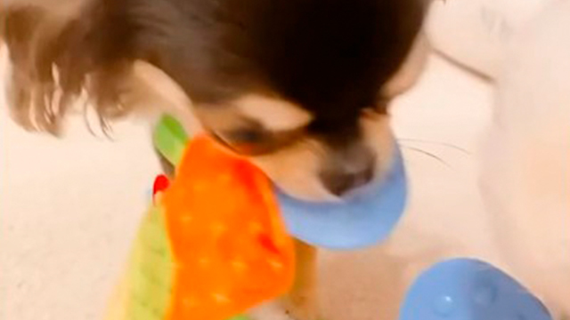 どっちも私のモノ！