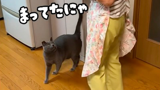 おばあちゃんのハグを待つニャンコ♡