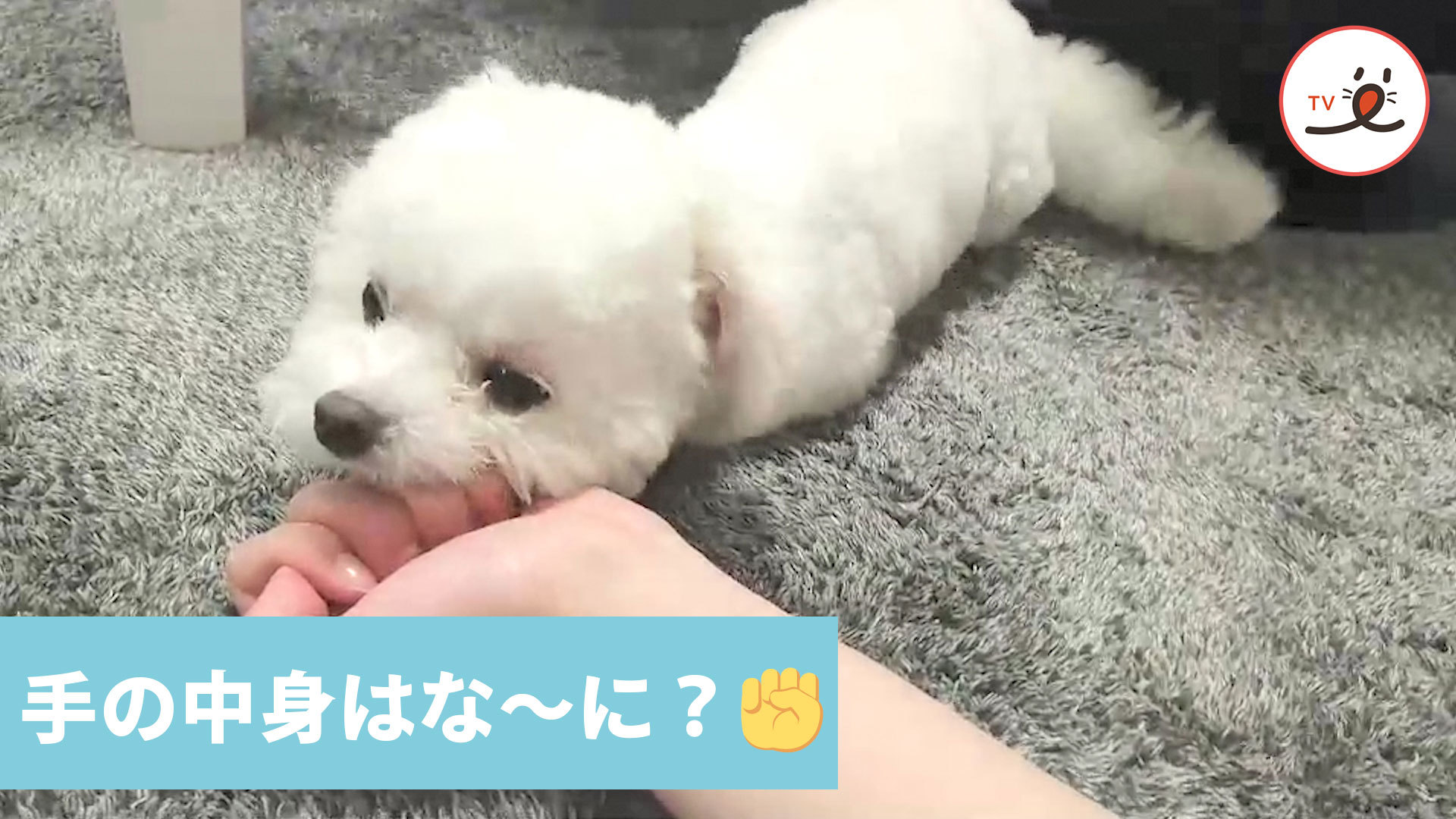 おやつが入っているかと思いきや……？