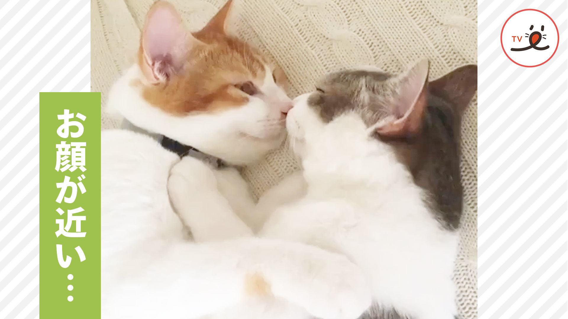 近すぎない……！？