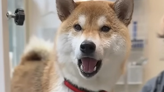 お風呂上りにママを呼ぶ